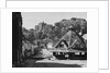Sheep in Street, Dunster by Anonymous