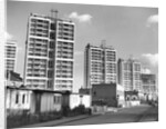 London's Tallest Flats by Anonymous