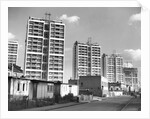 London's Tallest Flats by Anonymous