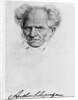 Arthur Schopenhauer by Anonymous
