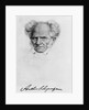 Arthur Schopenhauer by Anonymous