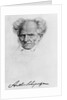 Arthur Schopenhauer by Anonymous