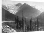 Canadian Rockies by Anonymous