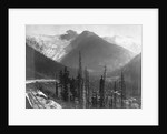 Canadian Rockies by Anonymous