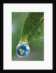 World in a Dewdrop by Anonymous