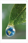 World in a Dewdrop by Anonymous