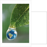 World in a Dewdrop by Anonymous