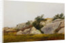 Rocky Landscape by John Frederick Kensett