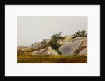 Rocky Landscape by John Frederick Kensett