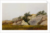 Rocky Landscape by John Frederick Kensett