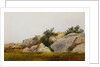 Rocky Landscape by John Frederick Kensett