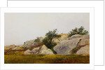 Rocky Landscape by John Frederick Kensett