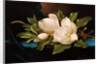 Giant Magnolias on Blue Cloth by Martin Johnson Heade