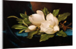 Giant Magnolias on Blue Cloth by Martin Johnson Heade