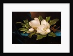Giant Magnolias on Blue Cloth by Martin Johnson Heade