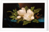 Giant Magnolias on Blue Cloth by Martin Johnson Heade
