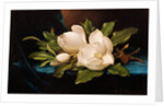 Giant Magnolias on Blue Cloth by Martin Johnson Heade