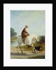 Miss Cazenove on a Gray Hunter by Jacques Laurent Agasse