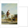 Miss Cazenove on a Gray Hunter by Jacques Laurent Agasse