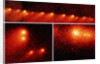 Hubble Telescope Comparison Photographs of Comet by Anonymous
