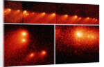 Hubble Telescope Comparison Photographs of Comet by Anonymous