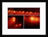 Hubble Telescope Comparison Photographs of Comet by Anonymous