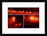 Hubble Telescope Comparison Photographs of Comet by Anonymous
