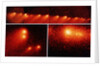 Hubble Telescope Comparison Photographs of Comet by Anonymous