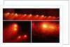 Hubble Telescope Comparison Photographs of Comet by Anonymous