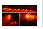 Hubble Telescope Comparison Photographs of Comet by Anonymous