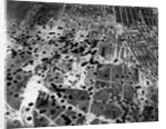 Bomb Damage in Osaka by Anonymous