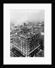 Construction of the Woolworth Building, New York by Anonymous