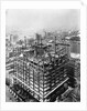 Construction of the Woolworth Building, New York by Anonymous