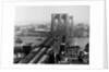 Brooklyn Bridge Over East River and Surrounding Area by Anonymous