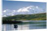 Mount McKinley and Feeding Moose by Anonymous