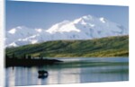 Mount McKinley and Feeding Moose by Anonymous