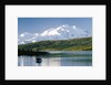 Mount McKinley and Feeding Moose by Anonymous