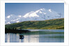 Mount McKinley and Feeding Moose by Anonymous