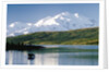 Mount McKinley and Feeding Moose by Anonymous