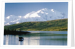 Mount McKinley and Feeding Moose by Anonymous