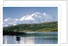 Mount McKinley and Feeding Moose by Anonymous