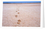 Bootprints on Lake Austin by Anonymous