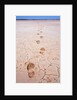 Bootprints Along Australian Outback by Anonymous
