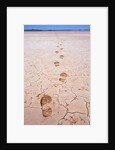 Bootprints Along Australian Outback by Anonymous