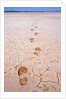 Bootprints Along Australian Outback by Anonymous