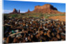 Trash Dump and Sandstone Buttes by Anonymous