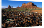 Trash Dump and Sandstone Buttes by Anonymous