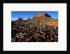 Trash Dump and Sandstone Buttes by Anonymous