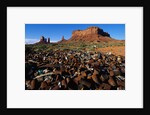 Trash Dump and Sandstone Buttes by Anonymous