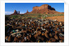 Trash Dump and Sandstone Buttes by Anonymous